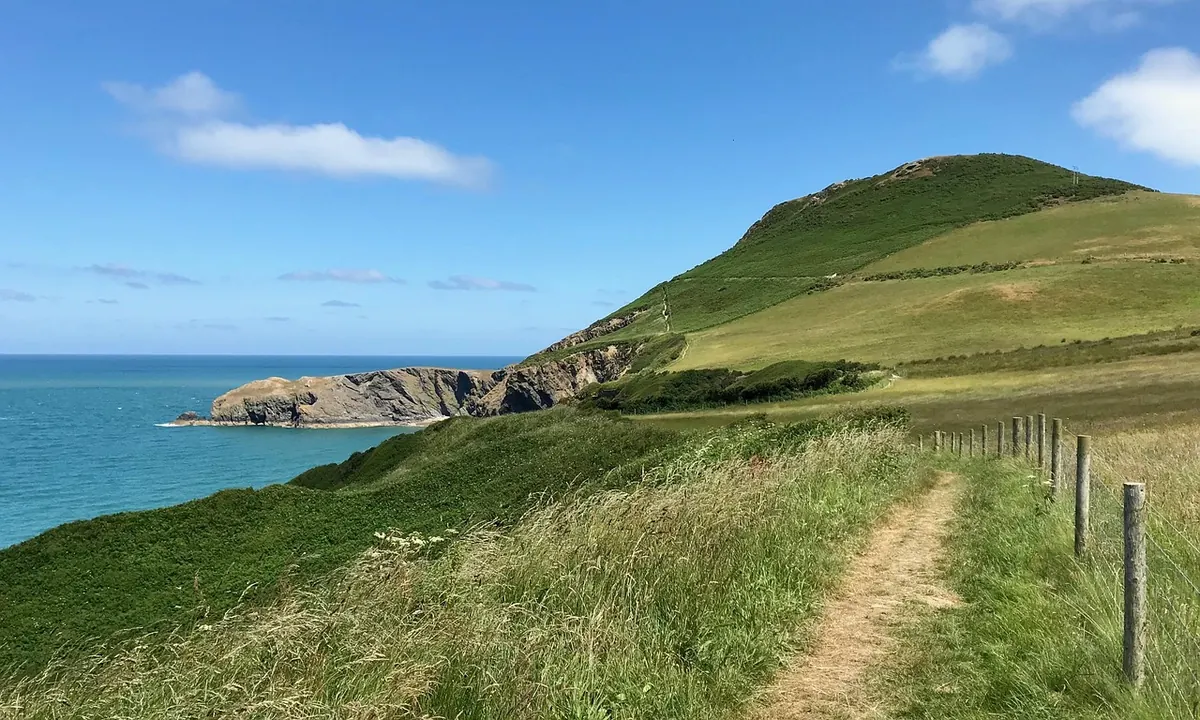 A Local's Guide to Essex Coastal Walks for Beginners